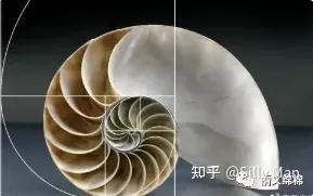聊聊《艾略特波浪理论》-16.jpg